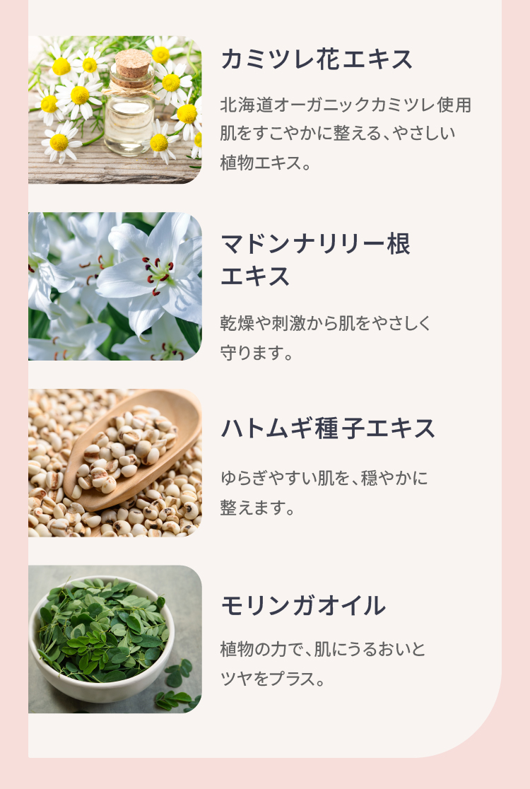 カミツレ花エキス マドンナリリー根エキス ハトムギ種子エキス モリンガオイル